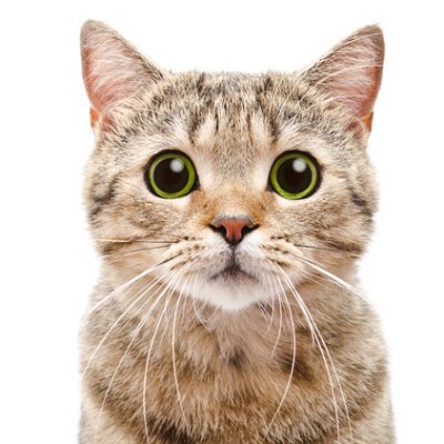 alarm_ko's profile picture. 军事、时政、娱乐资讯