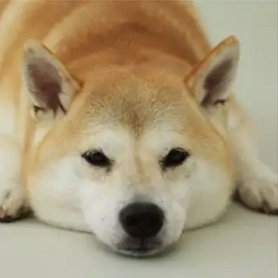 ym89130376's profile picture. 30代男
それなりに楽しく生きてます。
朝活が好きです。勉強することも、走ったり運動することも好きです。
どうぞよろしくお願いします。