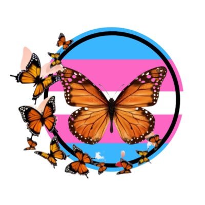 Trans Asylum Seekers Support Network