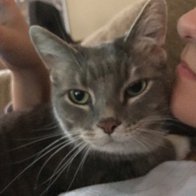 AnitaFederspiel's profile picture. 