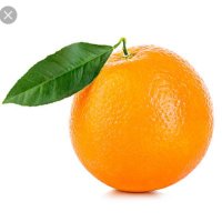 OrangeSkiJacket (@kingclasher_1) 's Twitter Profile