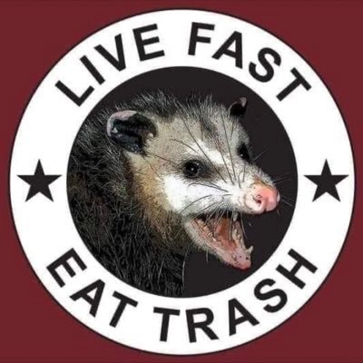 Live fast Eat trash! Find me