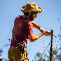 Robert Langellier (@roblangellier) 's Twitter Profile