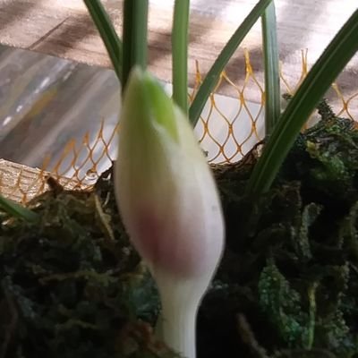 mY98rl7ozTVLRN5's profile picture. 