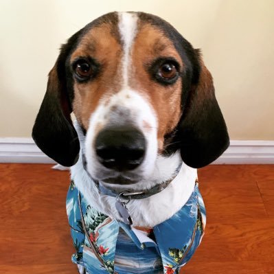 mauireyesfamily's profile picture. 