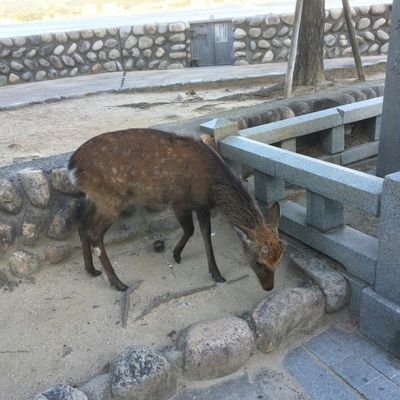 Ai2rJXG8mUWyZrt's profile picture. 合唱にはまってます　カフェ　フラカン　山登り