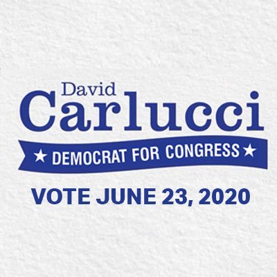 Volunteers from Rockland and Westchester dedicated to making Democrat @DavidCarlucci our next Member of Congress in the 17th District.