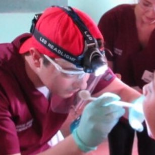 Ex-dental student, OMFS junior of the DCT variety.