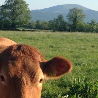 Limerick&Tipp Organic Farmers (@limtipporganic) 's Twitter Profile Photo Limerick&Tipp Organic Farmers (@limtipporganic) 's Twitter Profile Photo