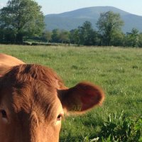 Limerick&Tipp Organic Farmers(@LimTippOrganic) 's Twitter Profile Photo