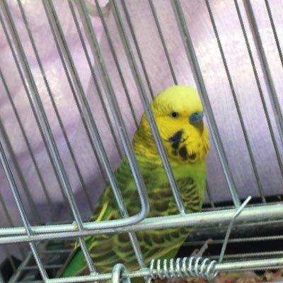 06BaRaNn's profile picture. 