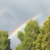 Bev Milway (@bevmilway) 's Twitter Profile