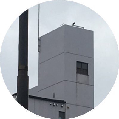 窖さんのプロフィール画像