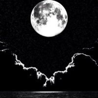 عبدالله الدخيّل (@rcpx6uylsd4ppqb) 's Twitter Profile Photo