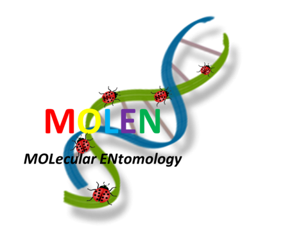 This is the Official Twitter Account of Molecular Entomology Lab at Ankara University. We love to study the fascinating world of insects!