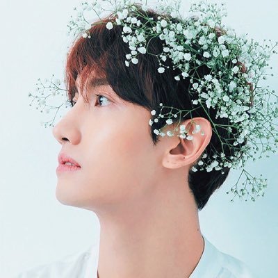 maju1213's profile picture. 東方神起大好き☆*:.｡. o(≧▽≦)o .｡.:*☆