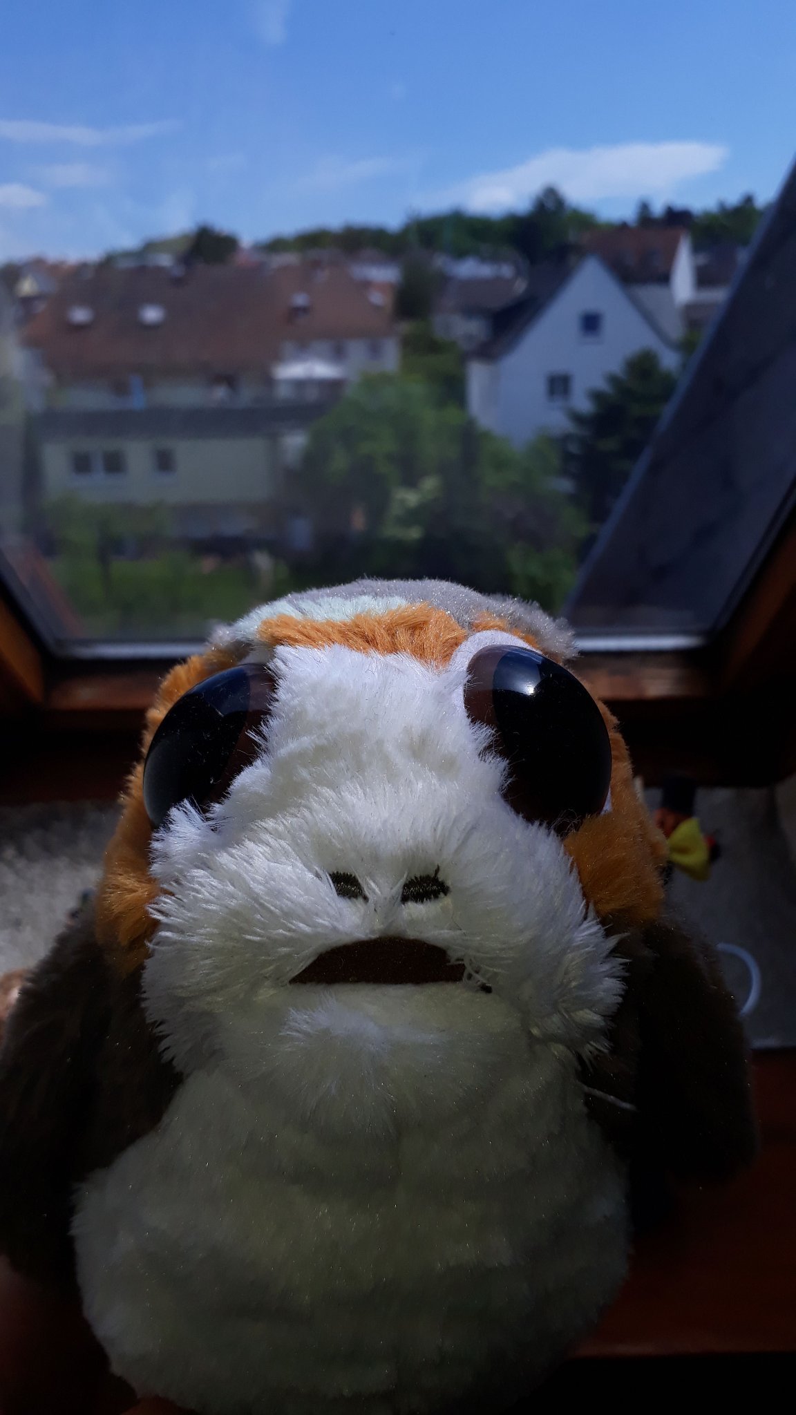 Moin moin! I am a young #Porg from the Free and Hanseatic City of Hamburg! Proud Social-democrat and leader of the European Porg Party. 🇪🇺 #HamburgeroftheWeek