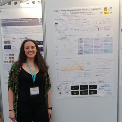 PhD Student at @jlgomska’s Lab. Interested in gene regulation during embryonic development 🐠🧬 @CABD_UPO_CSIC Seville