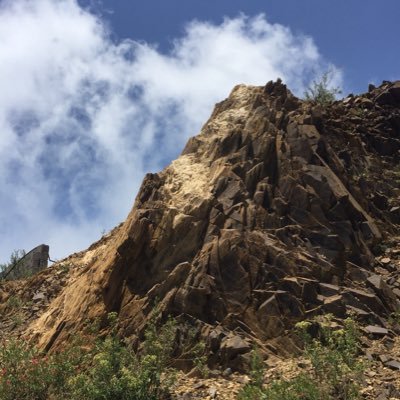 trat_78's profile picture. 