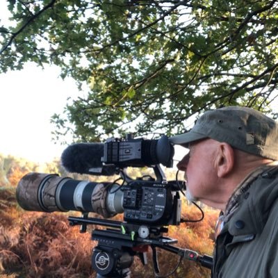 Filming British Wildlife during our caravan travels around the UK .