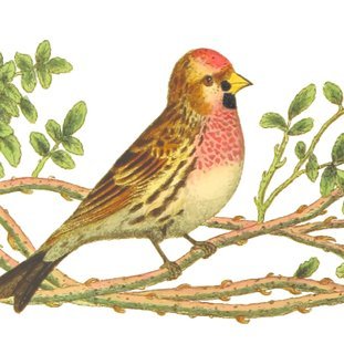 FortySixParts's profile picture. A human made of 46 parts. Just like you