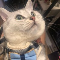 naomi (@naomijeon) 's Twitter Profile Photo