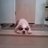 BASJOE's profile image
