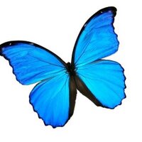 ButterFly(@ButterFlyATX) 's Twitter Profile Photo