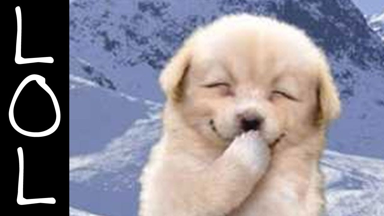 Hi my all dear friends
my name is Emma,
i'm a youtuber,
i Make Pets & Animals Videos,
my youtube channel Name,
#petsvideos,