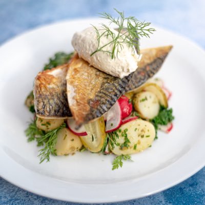 Food photographer | Chief Taster | Street Food Festy Photographer #Frome #WestCountry