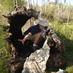 Fred Reppun (@freppun) Twitter profile photo