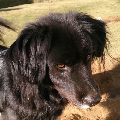 flatfield0's profile picture. バーチャルの音楽のオタク