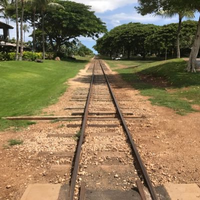 tukkieeeeee's profile picture. 地方の内科医です。2020/4-2023/3まで渡米。クレカ、マイル好き。ANA SFC、米国株。J.S.A Diproma of Wine Expert🍷転職活動中。