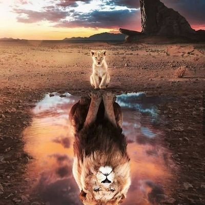 AbdiMMI's profile picture. 