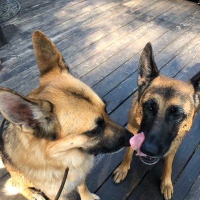 ellenpe71798885's profile picture. Here for the work.