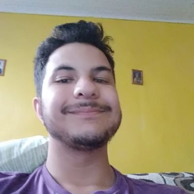 27y
I love old games and emulation
ReactJS Dev
PT-BR | EN