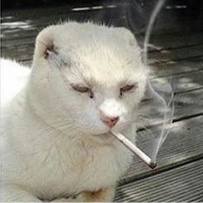 nnnervno's profile picture. I am hearing voices but all they do is complain