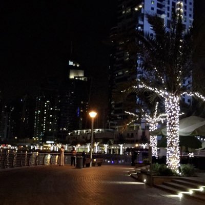 RehamAL_amri's profile picture. 