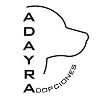 ADAYRA Adopciones (@adopta_adayra) 's Twitter Profile