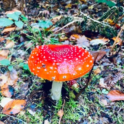 JenCoogan1's profile picture. 