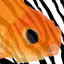 8jmZabra's profile picture. 