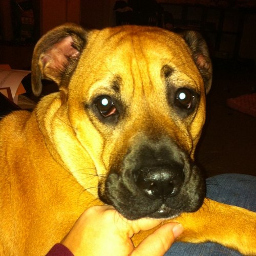 m17701's profile picture. Musician, arranger, orchestrator, and theater fanatic.