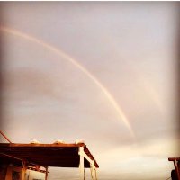 片岡礼子 ReikoKataoka (@jour_r) 's Twitter Profile Photo 片岡礼子 ReikoKataoka (@jour_r) 's Twitter Profile Photo