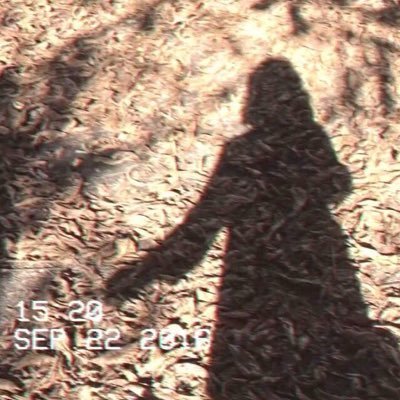 brontecordes's profile picture. ⭐️