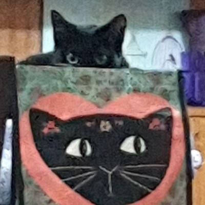 UCanGeorgie's profile picture. (she/her) Georgie is an Educational Designer/Technologist from the University of Canberra, Australia. 
Living and working on unceded Ngunnawal land.