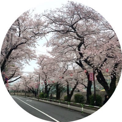 矢口パンケーキさんのプロフィール画像