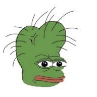 rxndy21's profile picture. @twetchapp