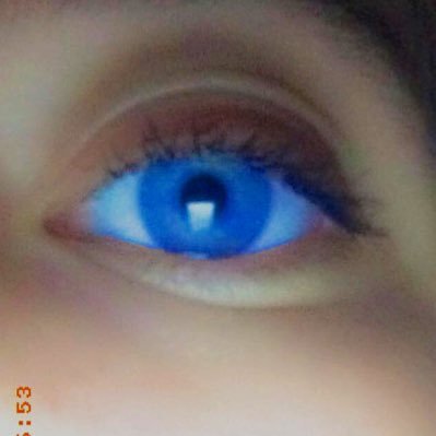Voili Voilou