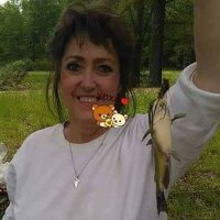Glenda Simmons - @GlendaS44961747 Twitter Profile Photo