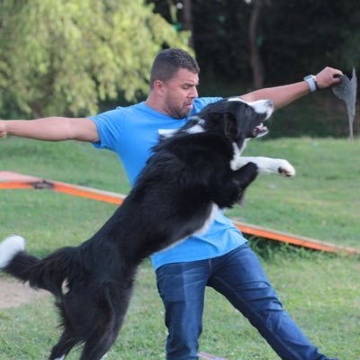 sociólogo de la UdeA,amigo de mi perro #ZeroBorderCollie